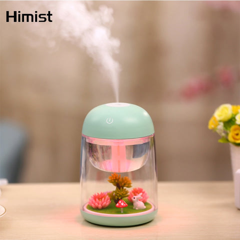 Mini Portable Mist Humidifier Transparent Micro-landscape Air Humidifier